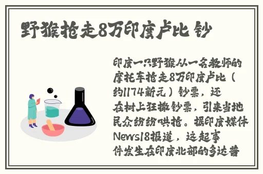 区产品乱码芒果精品